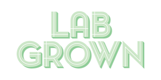 JIS24-LabGrownPavilion.png